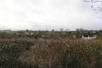 Obraz premium Sky and Field