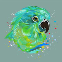 Illustration with vector realistic green tropical parrot bird, apparel fashion print