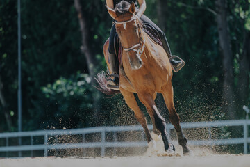 A rider skillfully gallops on a horse in an outdoor arena, capturing the speed and grace of...