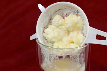 Drink of the centenarians, production of milk kefir 