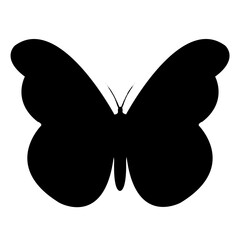 butterfly illustration