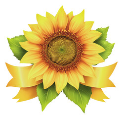 Fototapeta premium PNG Beautiful sunflower with green leaves and ribbon