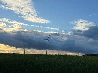 Windrad Landschaft