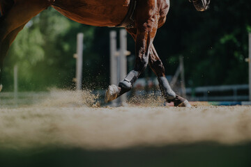 A dynamic close-up of a horse galloping, capturing the legs in motion with dust swirling on a...