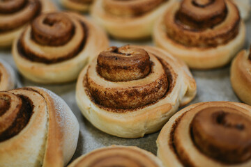 Close-up cinnabon buns freshly baked in the oven before applying cream in a cafe