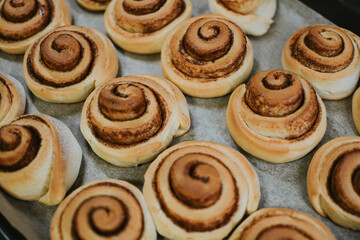 Close-up cinnabon buns freshly baked in the oven before applying cream in a cafe