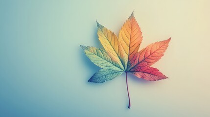 Obraz premium A single autumn leaf with vibrant colors against a light blue background.