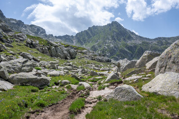 Obraz premium Panorama of Rila Mountain near Kalin peak, Bulgaria