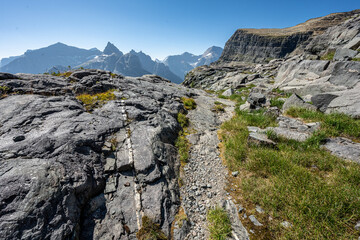 White Strip Of Rock Points Toward Thunderbird Mountain In Glacier