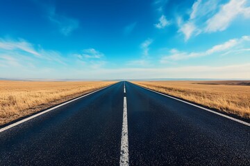 Naklejka premium A Straight Asphalt Road Leading Through a Dry Grassland Under a Clear Blue Sky
