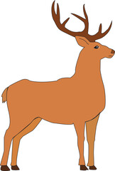 Fototapeta premium A vector art of a deer.