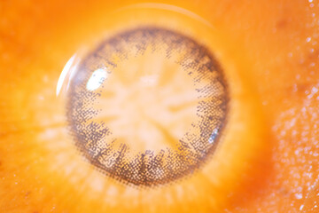 Eye contact lens and carrot sliced as background