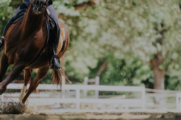 A dynamic image of a brown horse galloping in an outdoor arena, kicking up dust and displaying...