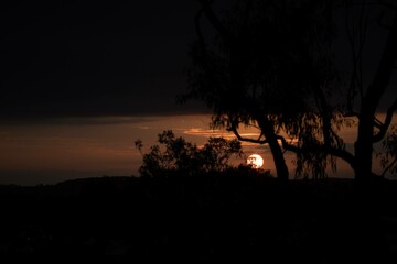 Brisbane Sunrise