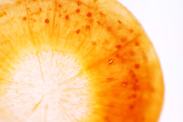Macro texture of carrot sliced pattern as background