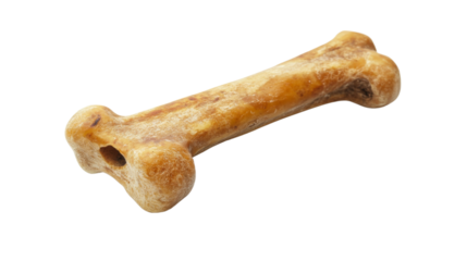 Bone transparent background