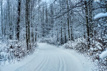 Cross-country ski path