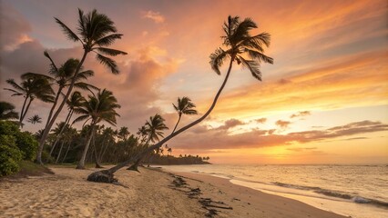 Obraz premium A serene tropical beach scene with swaying palm trees against a warm sunset background, island, palm, serene