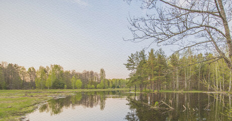 Calm lake with trees in the background