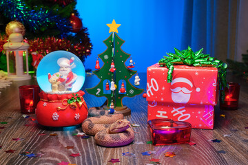 Snake - Symbol of the Year 2025 in the Chinese Lunar Calendar. Festive Christmas Gift Box, Christmas Tree, Glass Snow Globe with Santa Claus, Red Candles, and a Calendar Marked with the 25 year number