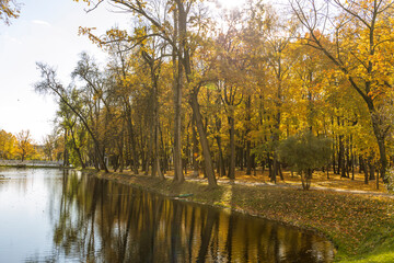 A park with a lake and trees