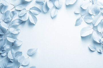 Pale Blue Leaves Frame A Blank Space