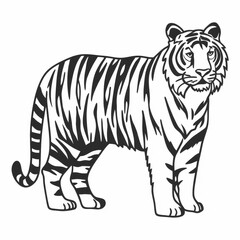 Fototapeta premium tiger vector illustration