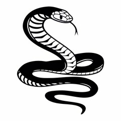 Fototapeta premium snake vector illustration