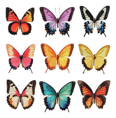 PNG Vibrant display of colorful butterflies