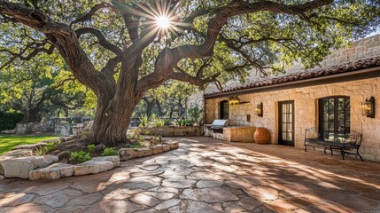 Obraz premium Sunlight Dappling Through Tree Branches in Outdoor Space