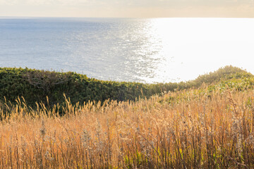 秋の神威岬【北海道】