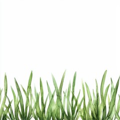 Fototapeta premium A green grassy field with a white background