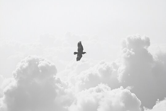 Majestic Bird in Flight Against a Cloudy Sky