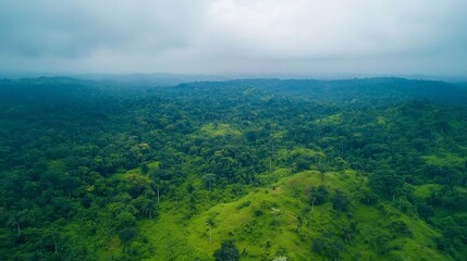 Aerial view of lush green rainforest landscape under a cloudy sky.