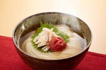 ひやむぎ_冷_温_hiyamugi