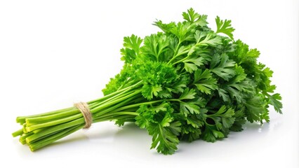 Fresh green parsley sprig ideal for garnishing dishes and adding a pop of color to meals, fresh, green, parsley, sprig