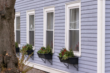 A pale purple wooden horizontal clapboard covered house with double hung pane windows. The wooden...