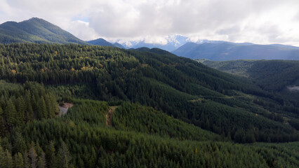Aerial View of Lush Green Forest with Distant Mount Rainier Hidden by Clouds