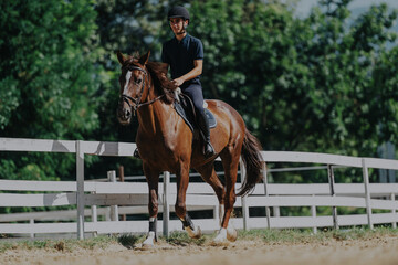 A young equestrian confidently rides a brown horse in a sunny outdoor arena. The scene captures the essence of horsemanship and the beauty of equestrian sports.