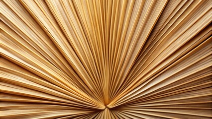 Abstract texture of dry pampas palm leaf, nature, background, abstract, texture, plant, pattern, design, tropical, exotic, botanical