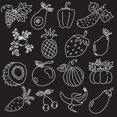 fruits and vegetables drawn with white pen on black background set