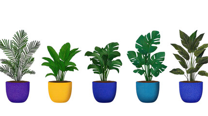 Colorful indoor plants in decorative pots. transparent background
