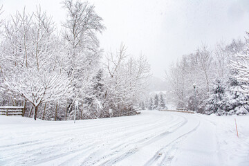 snow covered road