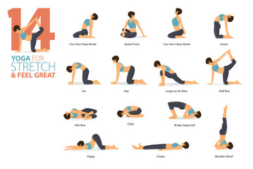 14 Yoga poses or asana posture for workout in stretch concept. Women exercising for body stretching. Fitness infographic. Flat cartoon vector.