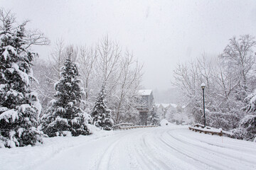 snow covered road