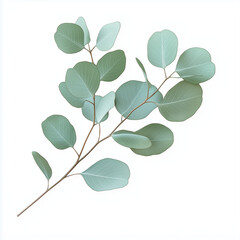 A eucalyptus leaf branch with soft blue-green leaves