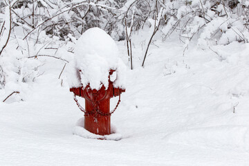 Snow covered fire hydrant