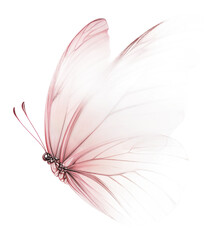 Naklejka premium PNG Graceful pink butterfly in the breeze