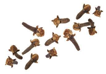 Clove buds in air on white background. Aromatic spice