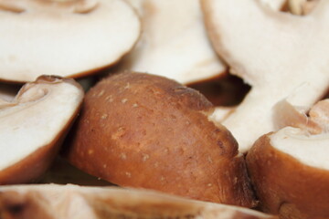秋の味覚！旨みたっぷり椎茸（Shiitake）を食卓に 